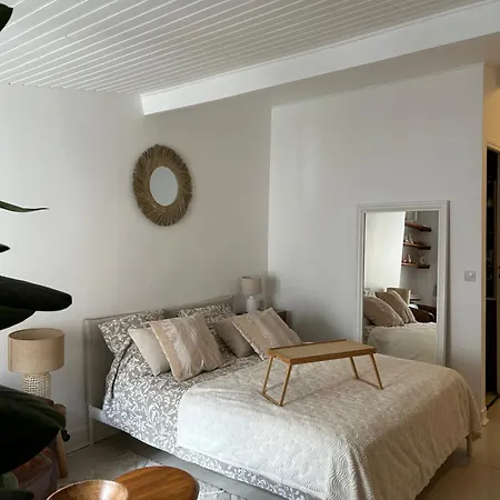 Apartment Grand Studio Entierement Renove Au Coeur De *