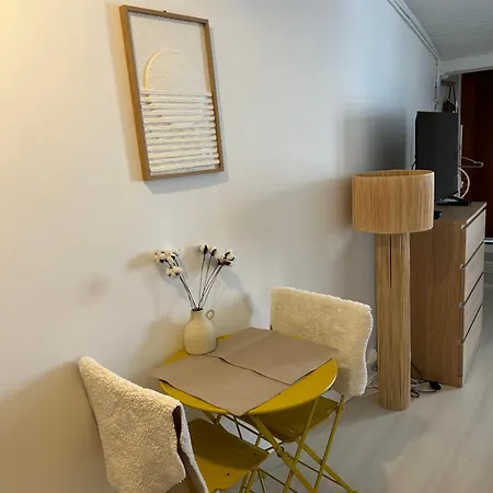 Grand Studio Entierement Renove Au Coeur De Apartment